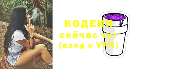 индика Горно-Алтайск