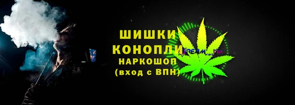 ешки Горняк