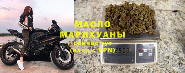 ешки Горняк