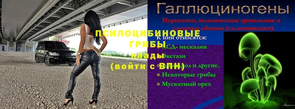 ешки Горняк