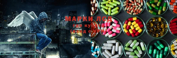 ешки Горняк