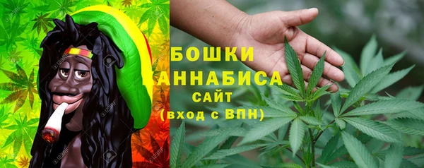 ешки Горняк