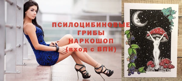 дживик Горнозаводск