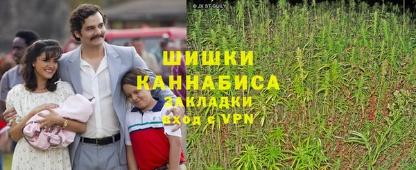 ешки Горняк