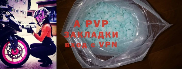 индика Горно-Алтайск